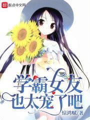 女友的最新節(jié)章更新內(nèi)容,揭秘情感糾葛，共度風雨歷程